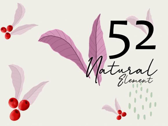 52 Hand Drawn Natural Elements for Creative Projects