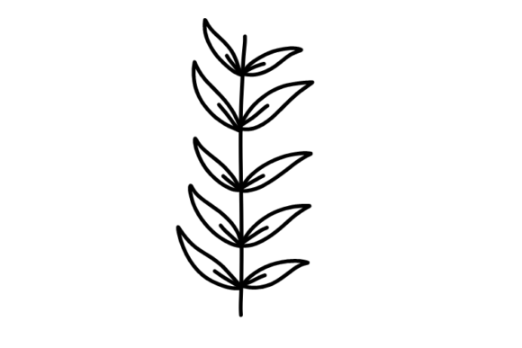 Botanic Elements: Bringing Nature into Design, Art, and Everyday Life