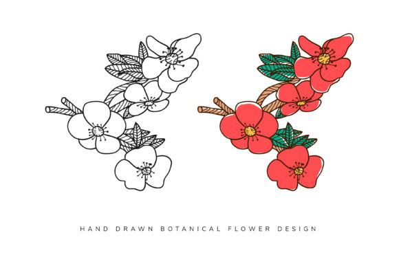 Hand Drawn Botanical Flower Element Desi: A Versatile Graphic Design Resource