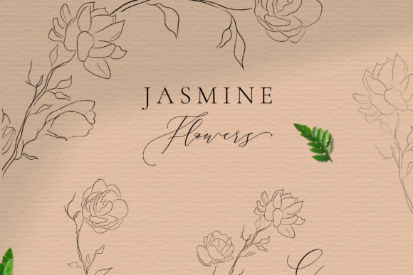 Jasmine Flowers Line Art Elements. Bloom: A Versatile Design Resource for Creatives