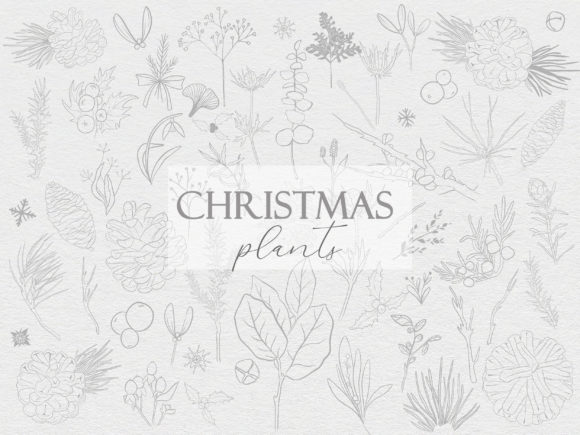 Line Christmas Plants: A Versatile Graphic Resource for Holiday Creativity