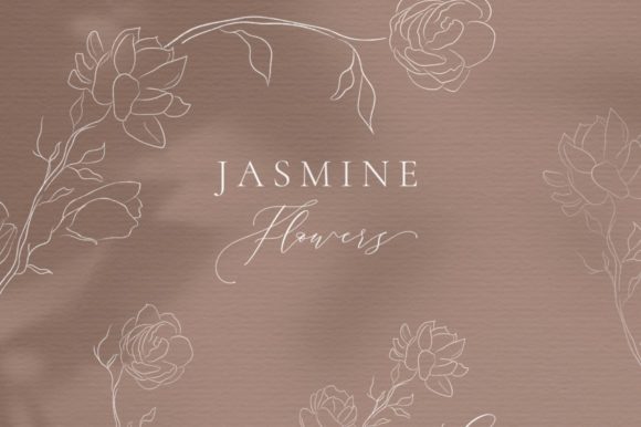 Line Drawing Jasmine Flower Illustration: A Versatile Design Resource for Creative Projects