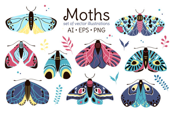 Moths: A Fascinating Subject for Illustration and Design