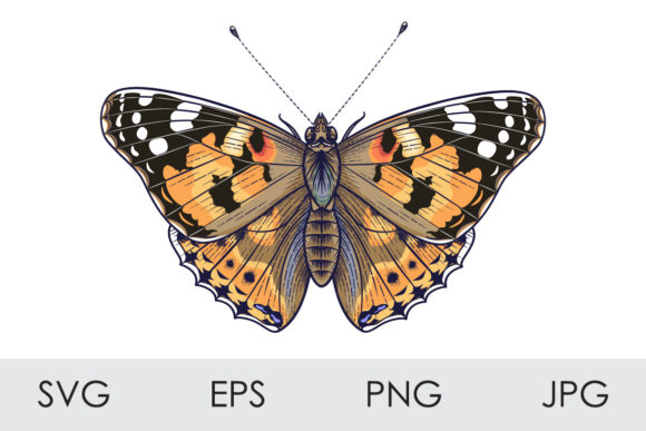 The Painted Lady Butterfly: A Versatile Design Element for Creative Projects