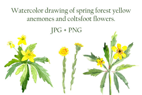 Watercolor Spring Yellow Flowers: A Versatile Design Collection for Creative Projects